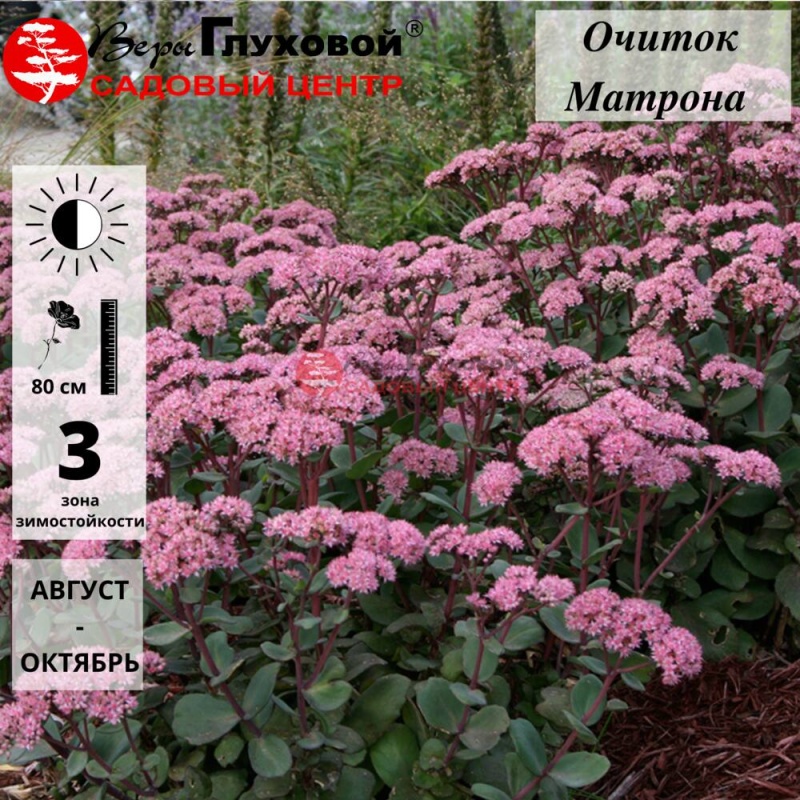 Основное изображение товара