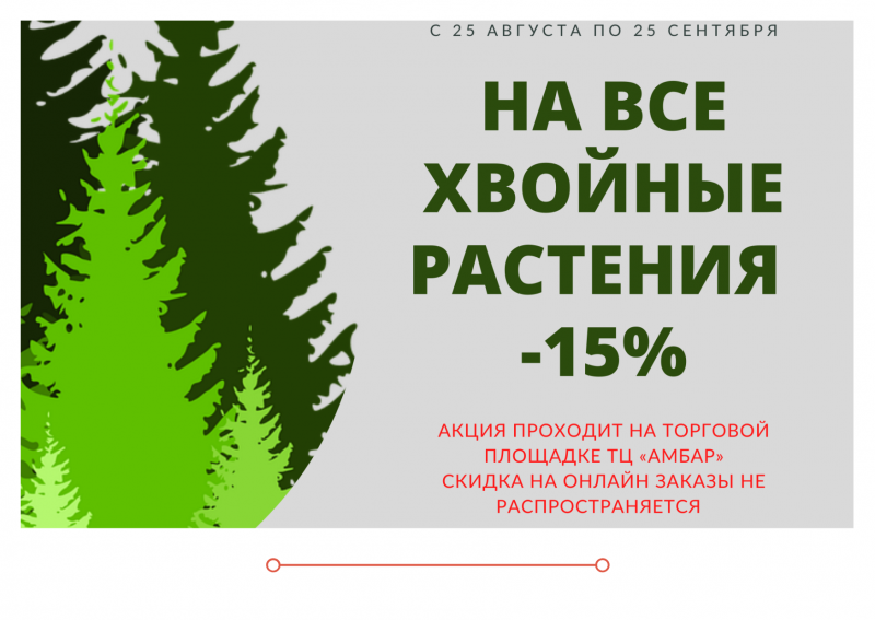 АКЦИЯ: Скидка на все хвойные растения -15% (на онлайн заказы не распространяется)