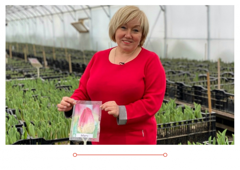 Новый выпуск "Дачные советы" от 4 февраля 2021 года