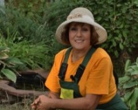 Добавлен новый выпуск "Дачные советы" от 28.01.2016