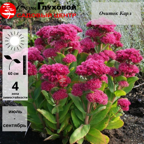 Основное изображение товара