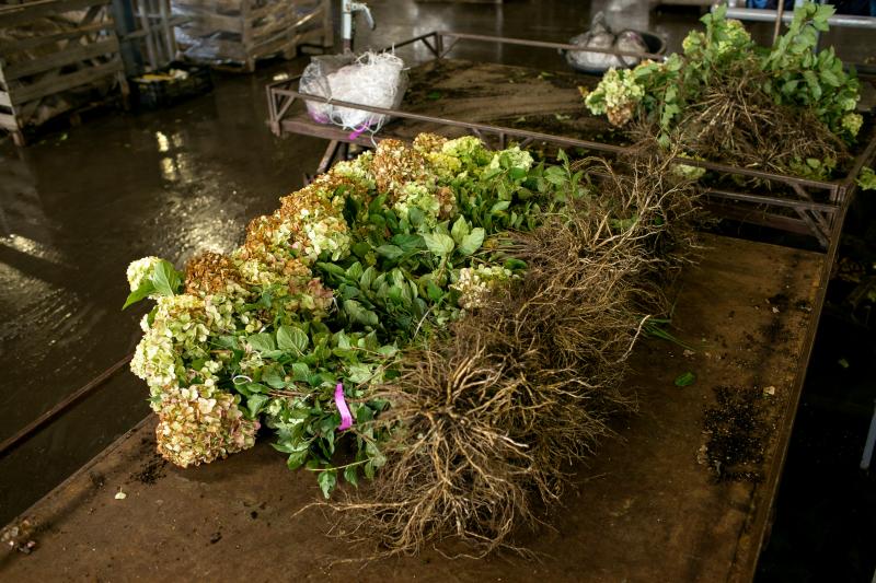 Онлайн-продажи продлены