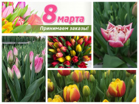 Подготовка к 8 марта