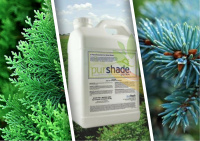 Препарат «Пуршейд» уже в продаже