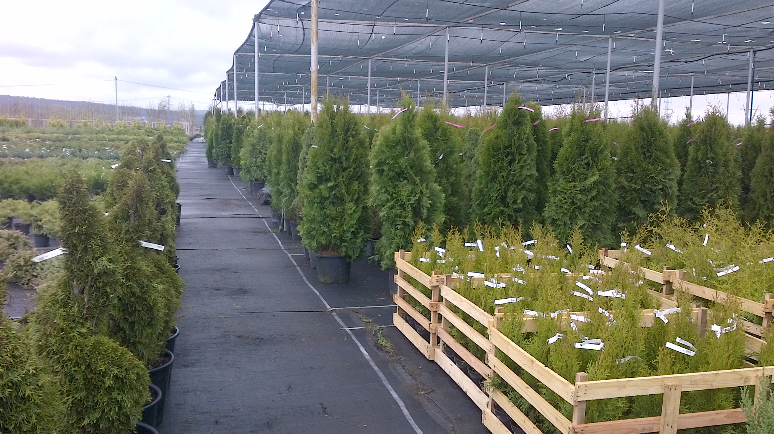 Сезон открыт! Сезон открыт!