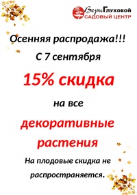 Cкидка 15 % на все декоративные растения