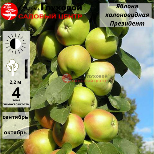 Рисунок 297.jpg