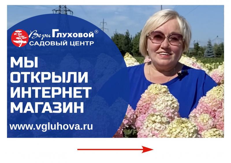 Открытие интернет магазина 