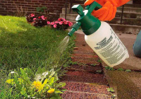 Эффективные средства борьбы с сорняками