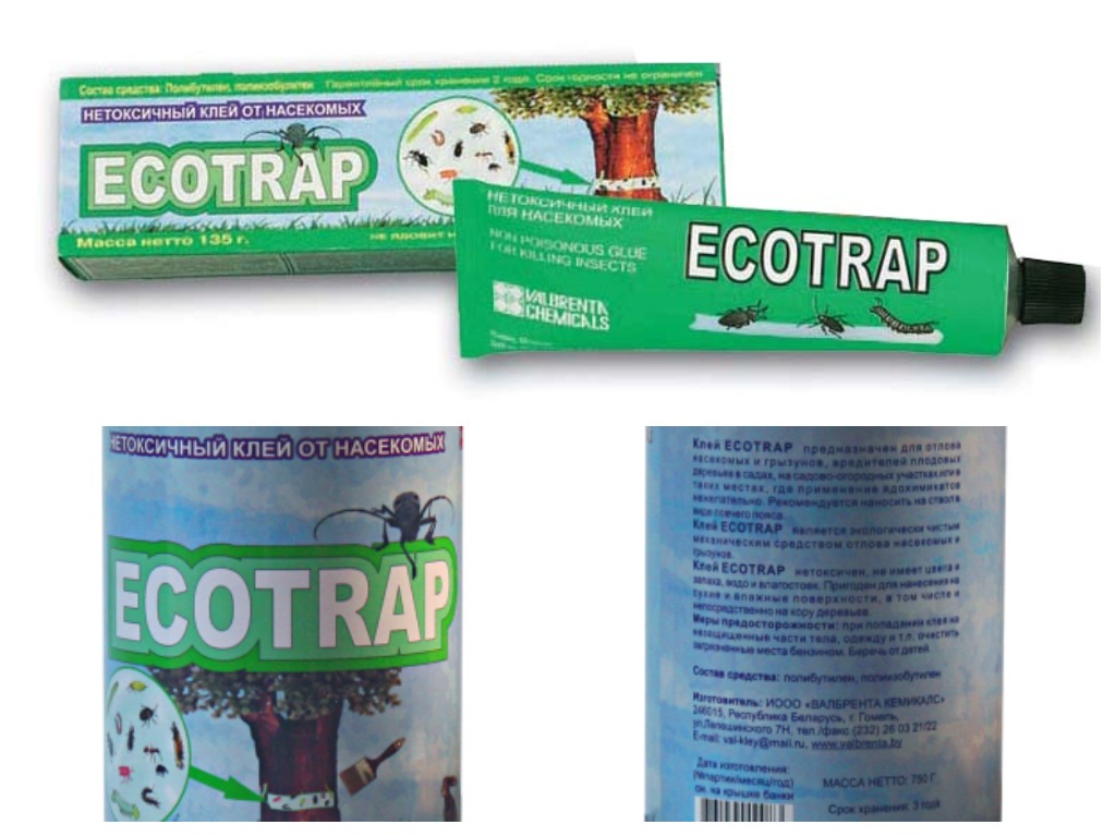 Клей Ecotrap — новинка Клей Ecotrap — новинка