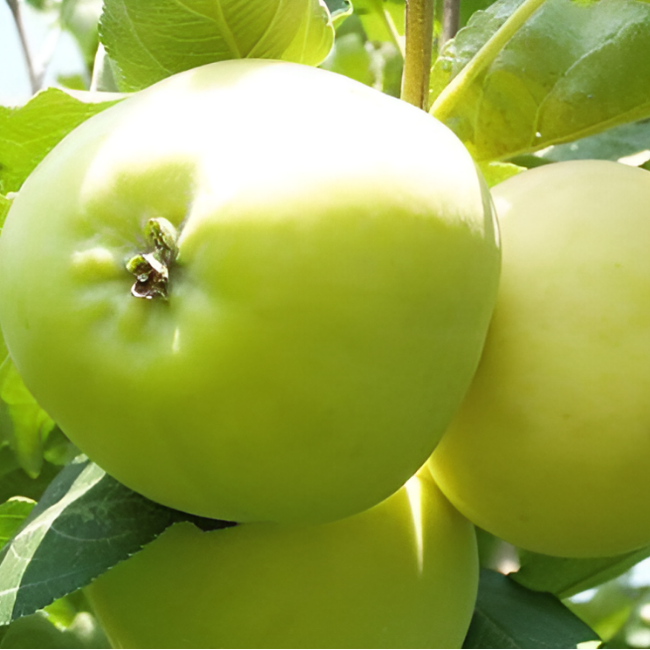 Рисунок 313.jpg