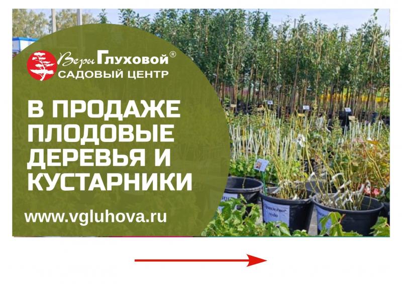 Ассортимент саженцев плодовых деревьев и кустарников пополнился