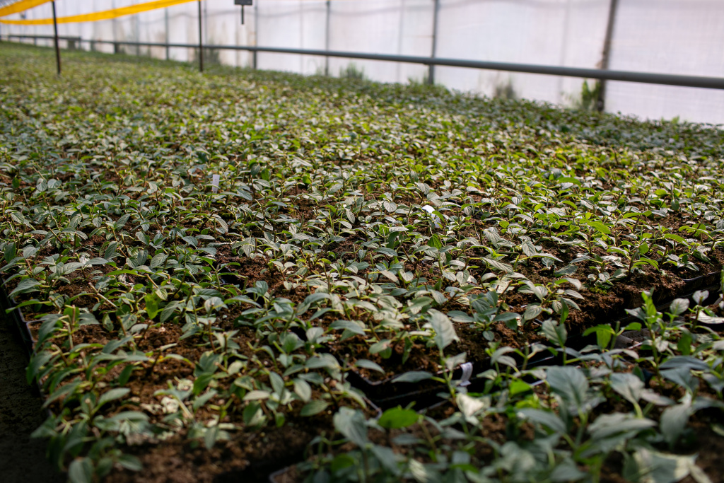 IMG_8397.jpg IMG_8397.jpg