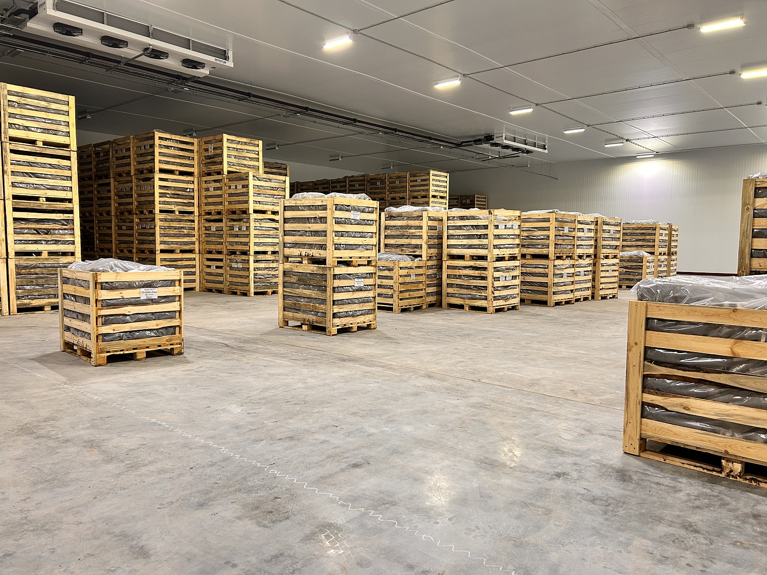 Опережая время