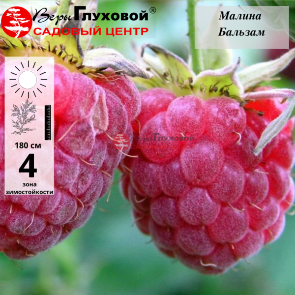 Рисунок 122.jpg