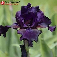 Основное изображение товара