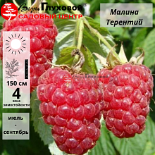 Основное изображение товара