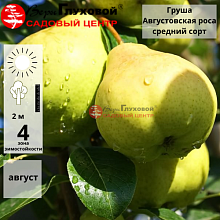 Основное изображение товара