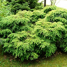 Основное изображение товара