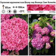 Основное изображение товара