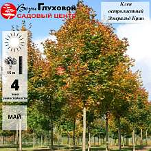 Основное изображение товара