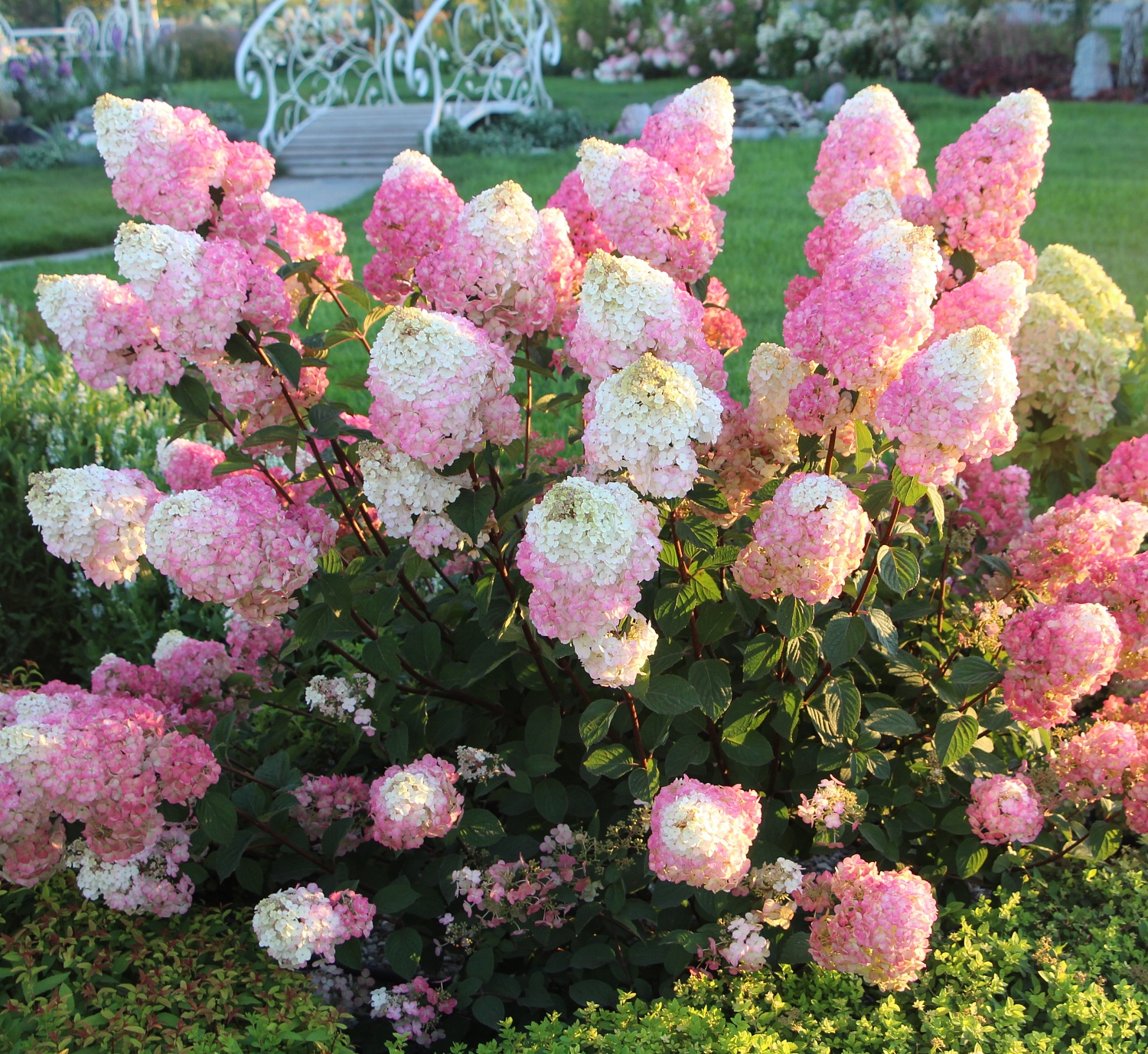 Безусловный лидер продаж