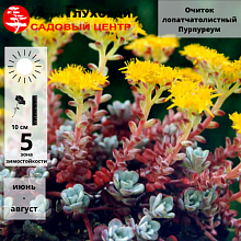 Основное изображение товара