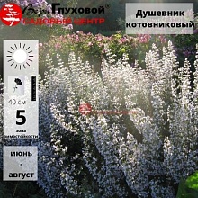 Основное изображение товара