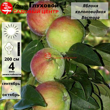 Основное изображение товара