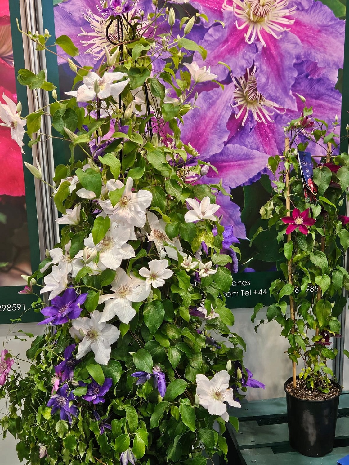 Время встречи профессионалов