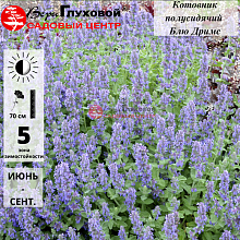 Основное изображение товара