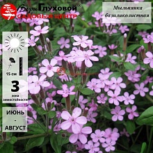 Основное изображение товара